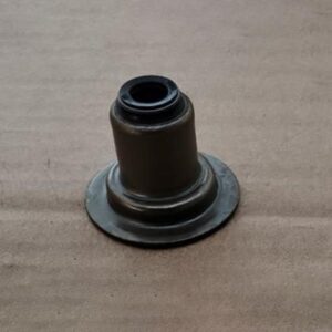 Valve Seal