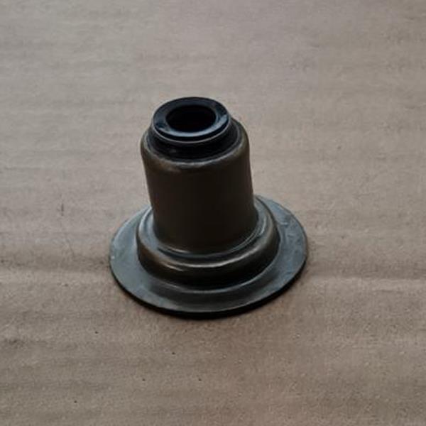 Valve Seal