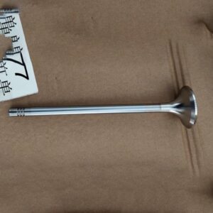 Exhaust Valve