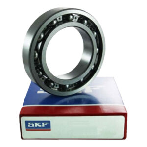 6313 Bearing