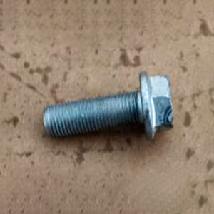 Pillow Mounting Bolts